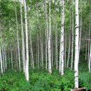 샛말농장 이미지