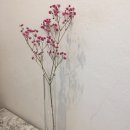 룩흐브로트