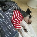 (주)이라디아 이미지