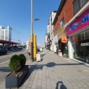 코끼리주유소 이미지