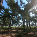 등명해변 이미지