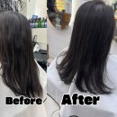 온리동물병원 | 대구 레이어드펌 매직잘하는미용실 추천