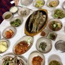 권*신 | [수도권관광버스대절] 완도·목포 1박 3일 황금코스, 유채꽃길과 밥도둑 게장에 취한 권기사 리얼 후기