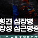 더블유인천심장동물병원