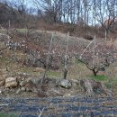 수산면행정복지센터 이미지