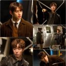 사랑스럽개 이미지