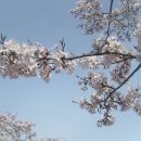 본촌초교 이미지