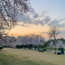 대공원역1번출구 이미지