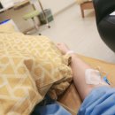시험관 1차 - 대망의 난자 채취 하는 날(30개채취), 동결이식확정 / 대전 미즈의원