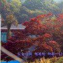 원촌주유소 이미지