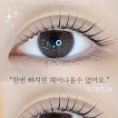 블리로움 블로그 변경