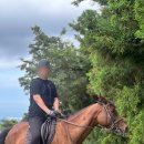 제이앤 당구클럽 | 제주공항근처 제이앤승마클럽 레슨후기 내돈내산