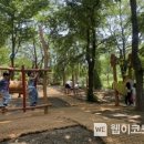 양평 유아숲체험원 이미지