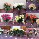 성룡농장 이미지