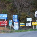 정남 민박 이미지