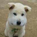 밸류온피트니스 이미지