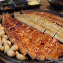 맛장어