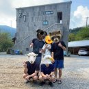 연곡호수펜션 이미지