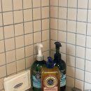 홈바운드스테이 이미지