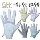 지에이치(GH) 이미지