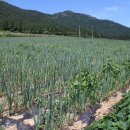 서진도농협 하나로마트 이미지