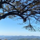 구드래 주차장 화장실 이미지