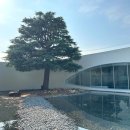 박태준기념관 | 부산 기장 실내 가볼만한곳 박태준기념관 수정원 도서관 여행 코스