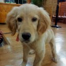 멍근멍근 이미지