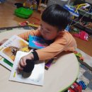 노벨자연어린이집 이미지