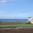 하도스테이 이미지