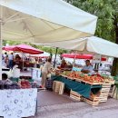 드래곤약국 | Lovely 슬로베니아❤️ 류블랴나 신혼여행 - 프레셰렌 광장, 성 니콜라스 대성당, 류블랴나 성, 드래곤 다리