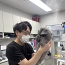 양주동물병원 이미지