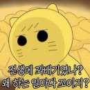 행복한찹쌀꽈배기 이미지