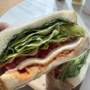 뚜레쥬르 샌드위치 다이어트 메뉴 추천! 레드타코치킨·치즈어니언치킨 칼로리 후기 (+SKT 티...