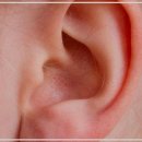 보청기프로 대구서부센타 이미지