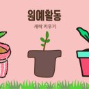 생활원예(주간) 이미지