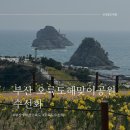 도구머리공원1-23 | [부산 봄 꽃놀이 명소] 부산 오륙도 오륙도해맞이공원 수선화 3/23 개화 상황, 주차, 포토존 꿀팁