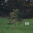 서울목장 이미지