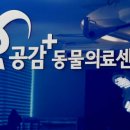 수원-0025 이미지