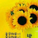 늘;한결같은