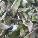 원호농장(1) 이미지