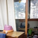 정릉30 이미지
