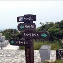 섬마을홍어아가씨 | 흑산도 여행 / 흑산도 아가씨 노래가 울려 퍼지는 흑산도여행.