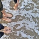 바위섬횟집 | 울진 바다 코스 추천! 금호정의 바위섬 뷰부터 망양정 해변 놀이까지