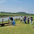 골든코스트 이미지