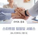 비긴사이트