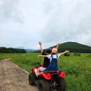 남원읍-117 이미지