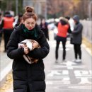 김도연