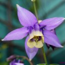 풍경(오월의 이야기 이미지