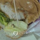 애벌레도서관 이미지